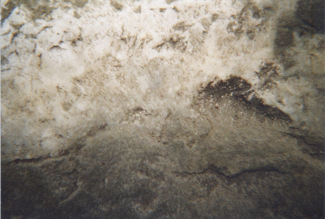 Een macrofoto van een kassei voornamelijk bestaande uit vuursteen